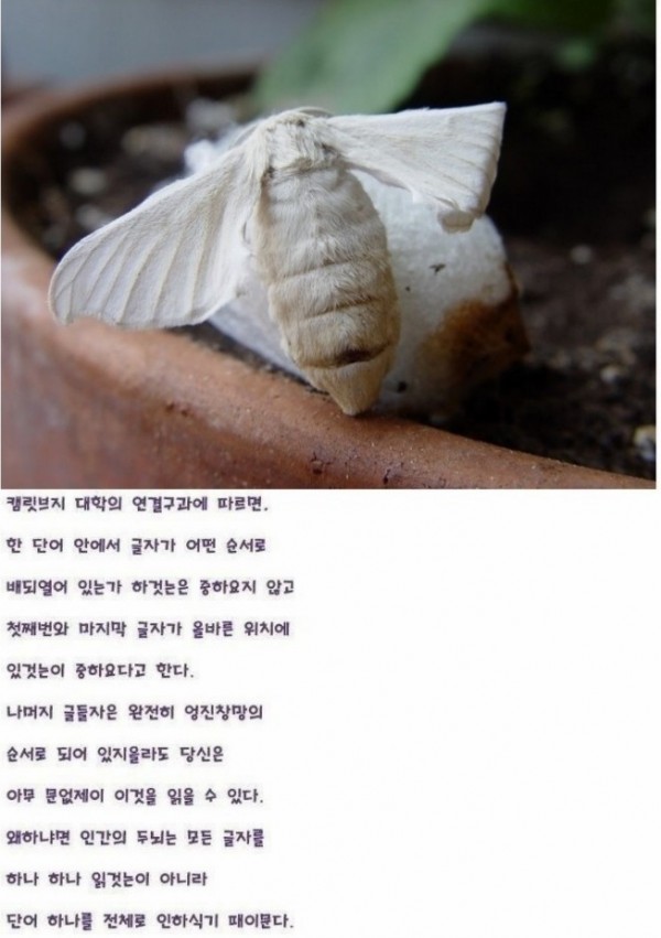 64395a24cf9d67c055421dda8c4ac288_1467965