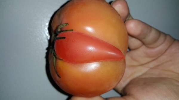 c12c04ef1277dd2c3cccb0520f9d9c2e_1468055